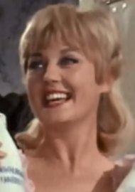 The Early Bird (1965)